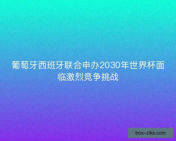 葡萄牙西班牙联合申办2030年世界杯面临激烈竞争挑战