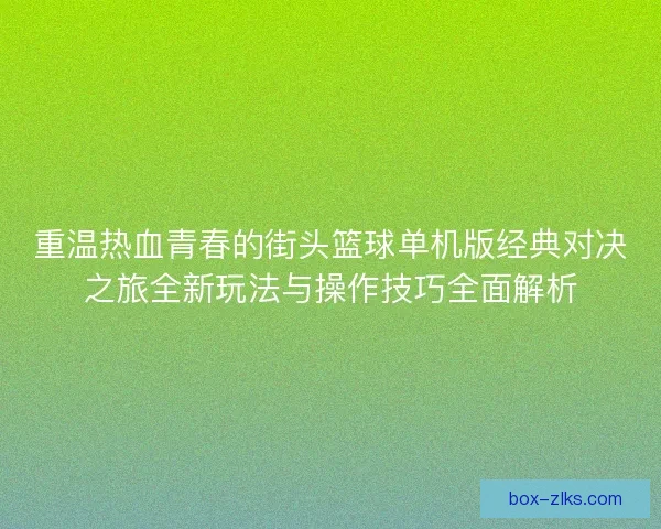 重温热血青春的街头篮球单机版经典对决之旅全新玩法与操作技巧全面解析